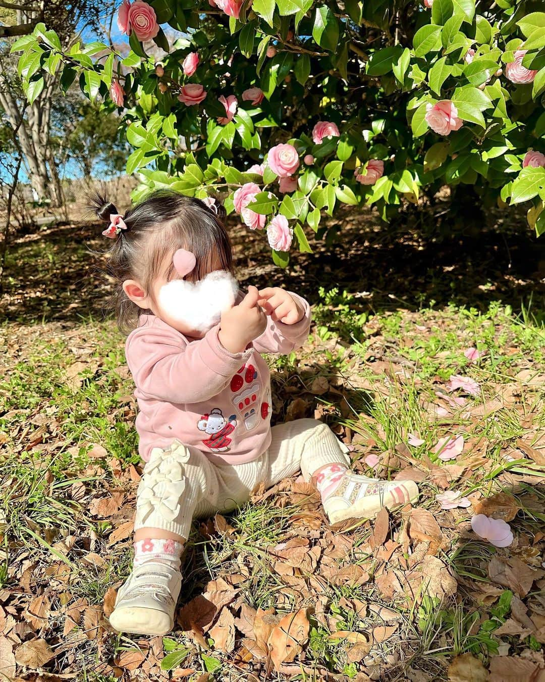 加藤瑠美さんのインスタグラム写真 - (加藤瑠美Instagram)「昭和記念公園へ💐 菜の花が咲き始めていてすごく綺麗だった🌼 他にも色々なお花がたーくさん🌷 息子も娘もお花が大好きなので オハナ！オハナ！と楽しそうにしてた🤍 ただ道がすごく混んでいて往復5時間くらいかかったから この公園の広さを堪能できず残念だったなあ…🫤 またリベンジしたい✊  #年子ママ#東京ママ#男の子ママ#女の子ママ#年子育児#年子ママ#年子兄妹#子連れお出かけ#都内子連れスポット#昭和記念公園」3月24日 18時32分 - katorubi