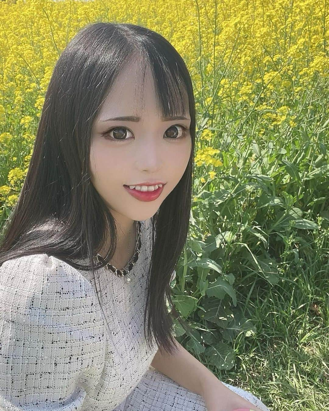 なつみさんのインスタグラム写真 - (なつみInstagram)「菜の花🌼 ずっと、過ごしやすくて紅葉の綺麗な秋🍁が一番好き だったけど、最近は春🌸の方が好きかも知れない🤍  爽やかな春服が好きだからかも🫶🏻  #ライブ配信#ライバー#八重歯#宅建士#宅建#宅地建物取引士#不動産営業#イギリス留学#バセドウ病#吃音症#過敏性腸症候群#🧢なつみ👻🍊#ファッション誌モデル#着物モデル#菜の花#한국어공부#gravesdisease#stuttering」3月24日 18時33分 - natsumipeanuts