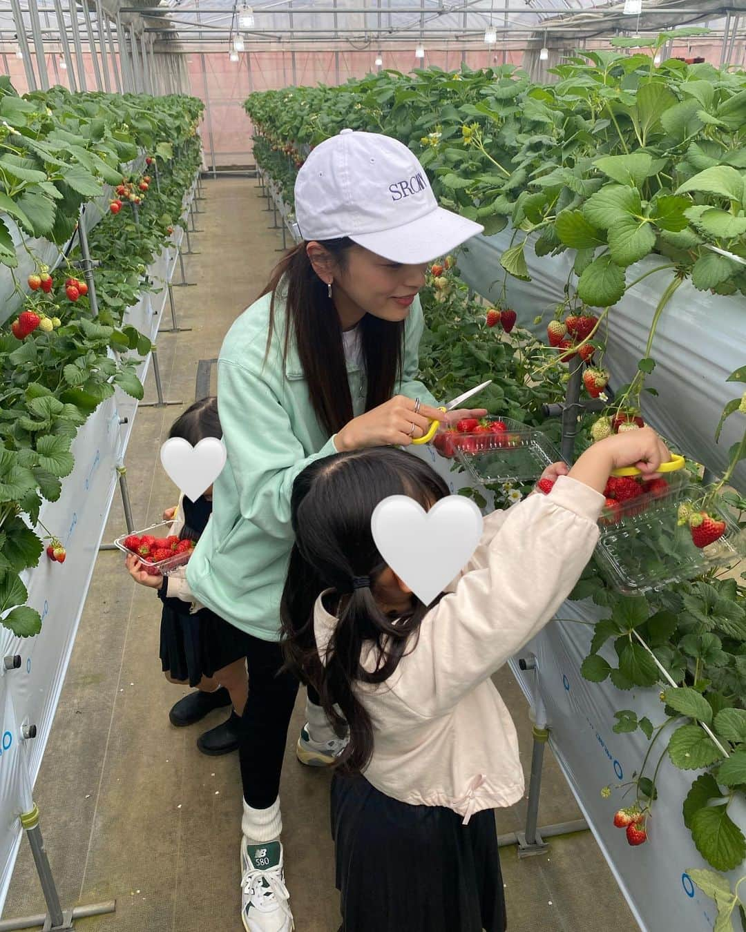 菜香さんのインスタグラム写真 - (菜香Instagram)「春分の日は苺狩りに行ってきました🍓🍓🍓 大人もしっかりテンション上がるよねぇ〜🤍笑 とあみうちゃんは人懐っこくて、素直で本当に良い子👧🏻👧🏻💓 夜は皆でご飯食べて、久々にちぴさんとマッサージにも行けた🥹💕 2人でとかいつぶり😂😂😂w あーでもないこーでもない話して 何て素晴らしい1日🫶🏻」3月24日 18時46分 - saika518