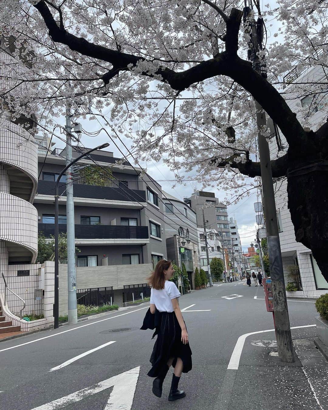 貴田理沙さんのインスタグラム写真 - (貴田理沙Instagram)「久しぶりに雨が降らなくてるんるんしてた🐕(今はもうお天気悪いけど)  4枚目はジャンプしたけど桜に1mmも届かなかった写真🤳🥹」3月24日 18時47分 - _l2i5q