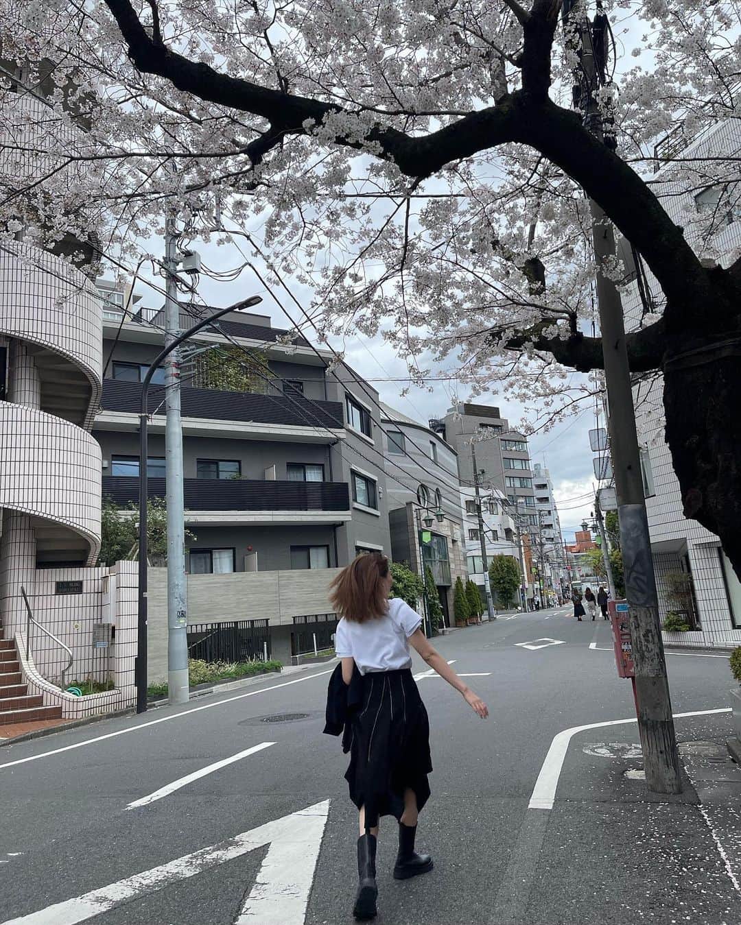 貴田理沙さんのインスタグラム写真 - (貴田理沙Instagram)「久しぶりに雨が降らなくてるんるんしてた🐕(今はもうお天気悪いけど)  4枚目はジャンプしたけど桜に1mmも届かなかった写真🤳🥹」3月24日 18時47分 - _l2i5q