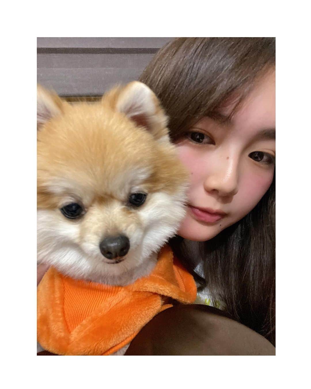 箭内夢菜のインスタグラム：「昨日のストーリーでもお知らせさせて頂きましたが  いよいよ明日、3月25日、26日に開催される、『こおりやまのこれからのこと』 イベントが郡山駅西口 駅前広場にて開催されます✨  私は14:00～ その場でトークショーさせて頂きます☺️🎤 発見！ふくしまのキッチンカーや、物販などもありますので ぜひぜひ遊びに来てくださいね！！  そしてそして！！ 同日 25.26日に、福島市にある『四季の里』にて、『PLAY PARK FUKUSHIMA』が開催されます！！！✨  そちらでも、 25日は10:30～ 26日は、11:45～と、13:45～  トークショーさせて頂きます🎤 さらに26日の13:00～は、ファッションショーにも参加させて頂きます😊  明日から盛りだくさんな2日間となっております😚 ぜひぜひお時間ある方は、郡山駅にも、四季の里にも！遊びに来てくださいね～😍  ストーリーにリンク貼っておきますので ぜひそちらご覧ください！︎☺︎   #郡山駅  #こおりやまのこれからのこと  #playparkfukushima  #四季の里」
