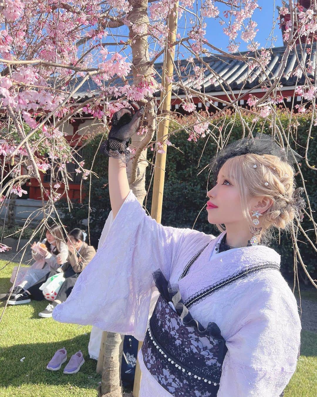 のインスタグラム：「まだ全然咲いてなかった 完全に咲いた桜を見る前に 散っちゃうんだろうな、儚い  #歌舞伎町 #キャバ嬢 #キャバクラ #美人茶屋 #美神絵梨華 #ショートカット #金髪 #ギャル #桜 #花見 #浅草 #着物 #レース着物 #春 #和」