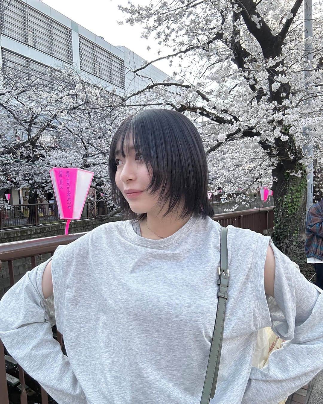 関戸奏音さんのインスタグラム写真 - (関戸奏音Instagram)「桜はかなり好きです。」3月24日 19時08分 - kanon_sekido