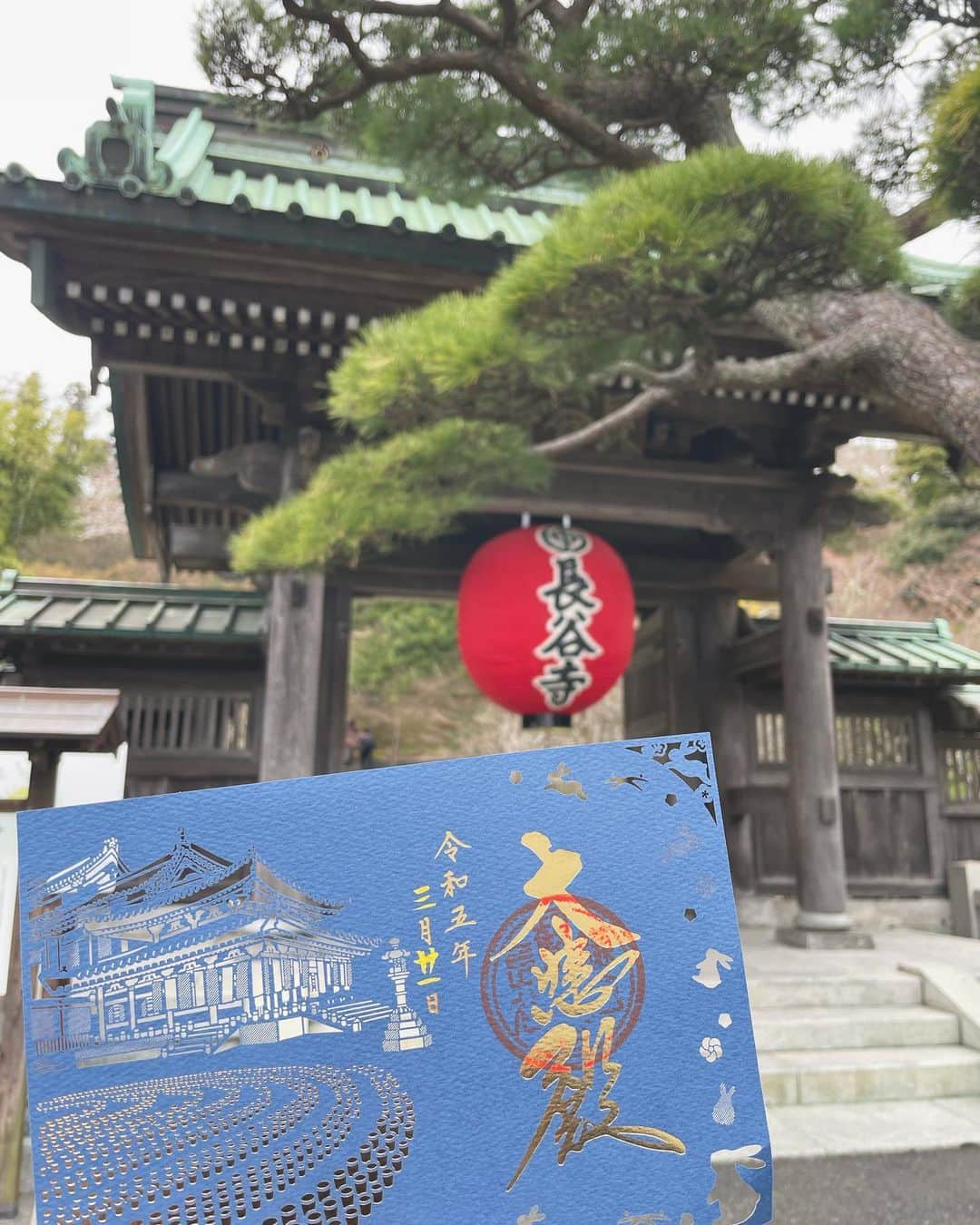 白石真菜さんのインスタグラム写真 - (白石真菜Instagram)「神奈川県鎌倉市にある長谷寺に行ってきました🚃𓈒𓂂𓏸  通常の御朱印とは別に切り絵御朱印と刺繍御朱印がありました！！ 私がいただいたのは、切り絵御朱印⛩ とても細かくて素晴らしいデザインでした‎(՞ ܸ. .ܸ՞)︎♡ 透かすととても綺麗！！  ⛩長谷寺とは… 往古より「長谷観音」の名で親しまれる当山は、正式には「海光山慈照院長谷寺」と号します。 開創は奈良時代の天平八年(736)と伝え、聖武天皇の治世下に勅願所と定められた鎌倉有数の古刹です。本尊は十一面観世音菩薩像。木彫仏としては日本最大級（高さ9.18ｍ)の尊像で、坂東三十三所観音霊場の第四番に数えられる当山は、東国を代表する観音霊場の象徴としてその法灯を今の世に伝えています。 (長谷寺ホームページより引用)   #神奈川 #神奈川御朱印 #御朱印 #関東御朱印 #切り絵御朱印  #長谷寺 #鎌倉 #鎌倉観光  #しーまな寺社巡り⛩」3月24日 19時09分 - shiraishi_mana47