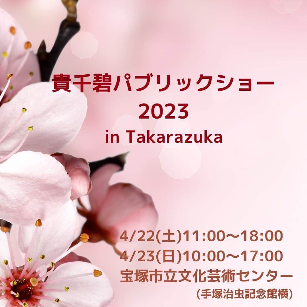 貴千碧のインスタグラム：「皆様本日も1日おつかれ様でした🌸 今日はお知らせです😆 いつも東京東銀座でさせて頂いております、貴千　碧パブリックショー、この度4月に宝塚大劇場の近く、宝塚市立文化芸術センター内でさせて頂きます✊😆✨✨ 退団後からずっと続けているこの展示会、早いもので5年以上経ちます🥹✨ここまで続かせて頂けているのも力になって下さいました皆様、足をお運び頂いております皆様のおかげです。本当に本当にありがとうございます🙏☺️✨ 今回下記日程で、手塚治虫記念館の隣で開催させて頂きます🥰 とっても広いお洒落空間で、元タカラジェンヌ、そして私のお気に入りのお店の皆様と夢の共演です😍❤️✨ 是非是非お越し頂けましたら嬉しいです❣️ 当日は貴千のサロンということで、いつものカフェスペースもご用意させて頂く予定です🍀 行きたいけど場所わからないよ！と仰る方、メッセージ下さい🥰 わかりやすいアクセス方法をお伝えさせて頂きます☺️ 大劇場からも近くですのでご観劇の合間に是非お寄り頂けましたら幸いです🌸  (CHARMEさんのお写真、Instagramから使わせて頂きました。)  【貴千碧パブリックショー2023 in Takarazuka】  ◆日時 4/22(土)11:00〜18:00 4/23(日)10:00〜17:00  ◆場所 宝塚市立文化芸術センター キューブホール内にて 兵庫県宝塚市武庫川町7番64号 (手塚治虫記念館横)  ◆出展者(50音順) 白姫あかり　さん(91期) @akari_shiraki / @caline_akari.s ハンドメイドアクセサリー  澄月菜音　さん(98期) @suminadayo / @sumina_no_e イラストレーター  貴千碧(91期) @ao_takachi / @officetakachi 喜昆布  瀧川末子　さん(81期) @sueko_takigawa ハンドメイドアクセサリー  嶺乃一真　さん(89期) @happy2ndlife / @kyoutukemono.marutake 京漬物(まるたけ　さん)  皆様…もしや…もしや…4月下旬…最高に美味しい水茄子が入荷されるかもしれません‼️‼️✨まるたけさんのお漬物、どれも本当に美味しいですが、こちらのお店の水茄子、本気で美味しいです。 是非皆様にご紹介したいです🥹✨  CHARME(シャルム) さん @charme_leathers レザー商品 この度、貴千の熱烈なオファーを快くお受け下さいました🥹❤️松屋銀座のミモザコレクションでご一緒させて頂きましたがそのカラーバリエーションの豊富さと触り心地の良い革感、お洒落なデザインに沢山の女子の心を奪ってらっしゃいました。色んな百貨店様で出店されていて関西ではなかなか出店されていらっしゃらなくて、貴千の小さな小さなお店で貴重な出店となります😭🙏✨ CHARMEファンの皆様この機会に是非お立ち寄り下さい‼️  M_ALLEY さん @m.alleyalley ミシン刺繍 末子さんからのご紹介でとっっても可愛い刺繍デザインのお店です🥰私も早速イニシャルポーチを購入してしまいました😆ご縁を頂けてとても嬉しいです🍀  Kyoto candle Lieru  さん @kyotocandle_lieru 人工香料を一切使用していないキャンドル  昨年東銀座で初めて出店して頂きました😍アロマの心安らぐ香りとキャンドル好きの方にはたまらないラインナップ✨🕯 リラックスタイムに是非いかがでしょうか❤️  ◆入場無料  ◆お支払い 現金・キャッシュレス決(クレジットカードご使用頂けます)  ♦︎持ち物 訪れる勇気🫣🤭❤️  皆様との久しぶりの再会を心から楽しみにしております☺️🌸✨」