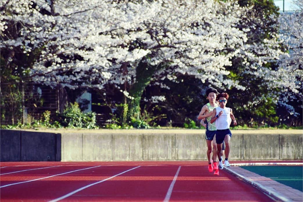 神野大地さんのインスタグラム写真 - (神野大地Instagram)「桜🌸を見る余裕はなかったけど今日も良い練習ができた。 素敵なショット！！✨✨」3月24日 19時15分 - daichi_0913