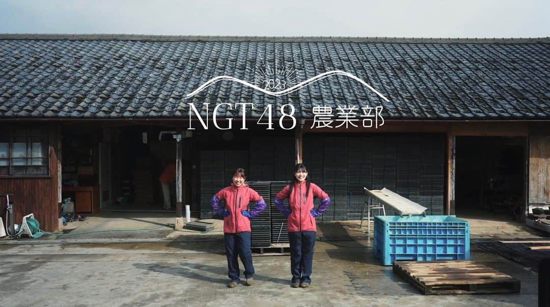 小越春花さんのインスタグラム写真 - (小越春花Instagram)「#NGT48農業部2023🌾 今年もお米づくり頑張ります🍚 すっごく素敵なテイストの動画作っていただいちゃいました！NGT48公式YouTubeでぜひ見てください！」3月24日 19時48分 - haruka_2525_ngt48