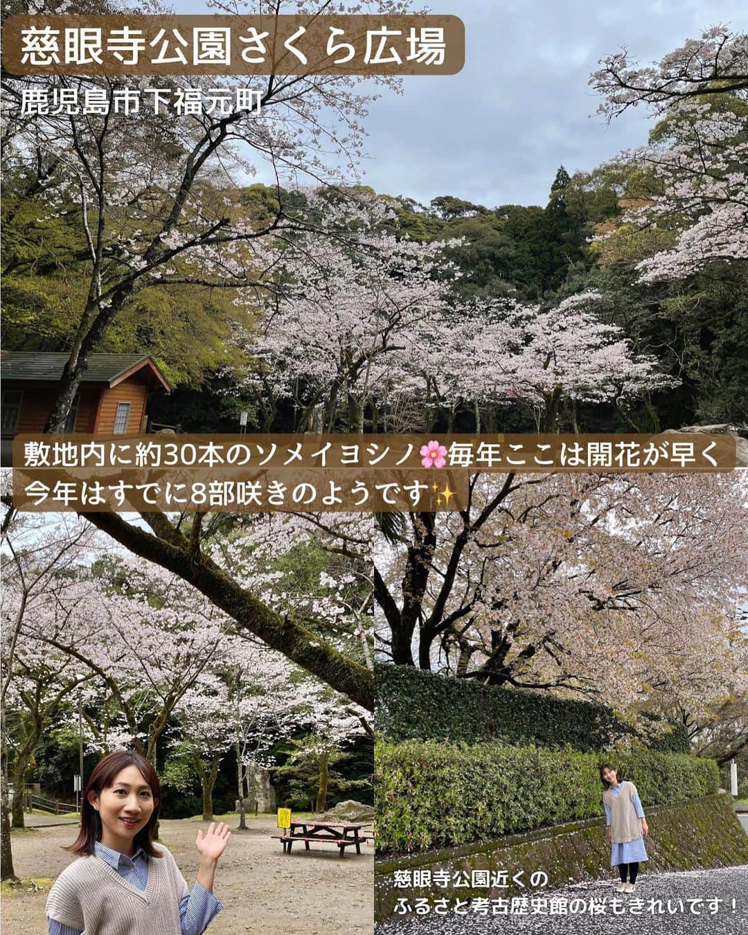 山下智子さんのインスタグラム写真 - (山下智子Instagram)「鹿児島グルメや子連れスポット @tomoko__yamashita 👈  今日(3/24)鹿児島でも 桜の開花発表がありました🌸  県内各地、咲き始めているところもありますが、 開花宣言があると 本格的な春だ〜という気持ちに個人的になります☺️🌸  ということで、 私の県内のおすすめ桜スポット5選をご紹介✨  .......................................... ◆𝐋𝐨𝐜𝐚𝐭𝐢𝐨𝐧◆ ①鹿児島ふれあいスポーツランド 📍鹿児島県鹿児島市中山町591-1 🚘駐車場有  ②慈眼寺公園さくら広場 📍鹿児島県鹿児島市下福元町 🚘駐車場有  ③星ヶ峯中央公園第1広場 📍鹿児島県鹿児島市星ヶ峯2-2 🚘駐車場有(第2広場の横)  ④城山公園 📍鹿児島県日置市伊集院町大田700 🚘駐車場有  ⑤観音ヶ池市民の森 📍鹿児島県いちき串木野市湊町1247-3 🚘駐車場有 ..........................................  #tomoko__yamashita_kagoshima 「鹿児島」に関する投稿は、 このハッシュタグで検索！  ..........................................  ◆𝑻𝒉𝒂𝒏𝒌𝒔◆ 最後まで読んでくれてありがとうございます❤️  このアカウントは、 鹿児島の子連れランチ・スポットを 発信しています♪  ☀️鹿児島市内から車で行く ☀️2歳男の子と楽しむ ☀️地元かごんまの魅力  を発信しています♪  ／ フォロー・いいね・ コメント・保存大歓迎♪ 喜びます🙋‍♀️ ＼  @tomoko__yamashita  ..........................................   #鹿児島 #鹿児島子連れ #鹿児島子連れお出かけ #鹿児島ママ #鹿児島桜 #鹿児島桜スポット #鹿児島ふれあいスポーツランド #慈眼寺 #慈眼寺公園 #慈眼寺公園さくら広場 #星ヶ峯 #星ヶ峯中央公園 #城山公園 #城山公園の桜 #観音ヶ池 #観音ヶ池市民の森 #どんどん鹿児島 #桜 #鹿児島お花見 #鹿児島お花見スポット」3月24日 21時39分 - tomoko__yamashita