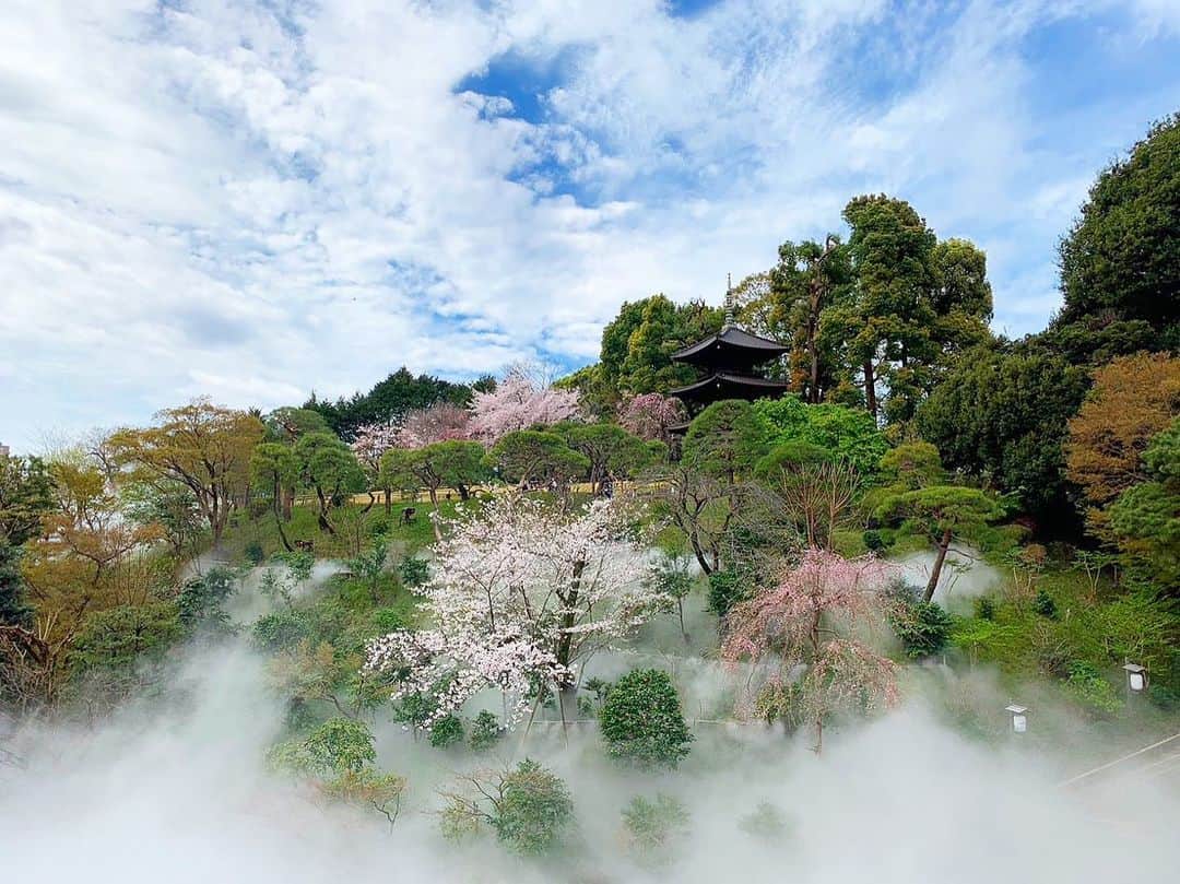 ホテル椿山荘東京のインスタグラム