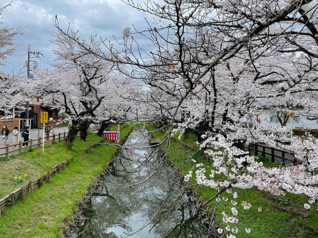 川越氷川神社のインスタグラム