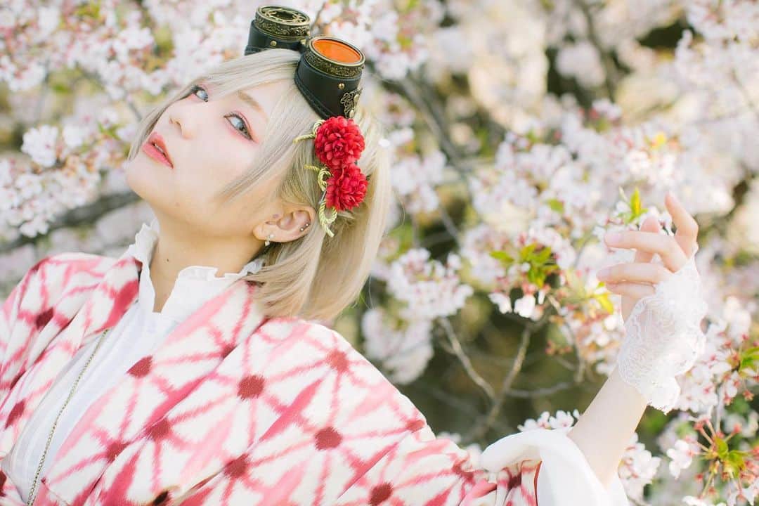 玉樹るいさんのインスタグラム写真 - (玉樹るいInstagram)「#桜　#sakura #portrait  #flower」3月24日 22時39分 - abitara1118