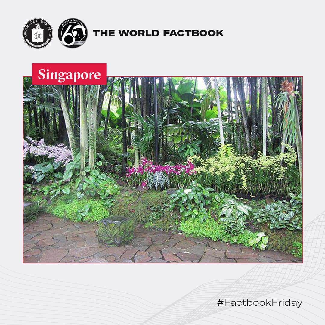 CIAさんのインスタグラム写真 - (CIAInstagram)「This week Factbook Friday shines the light on the efflorescence of Singapore's Botanic Gardens—the country's first UNESCO World Heritage Site.   #FactbookFriday #Singapore #BotanicGardens」3月24日 22時58分 - cia