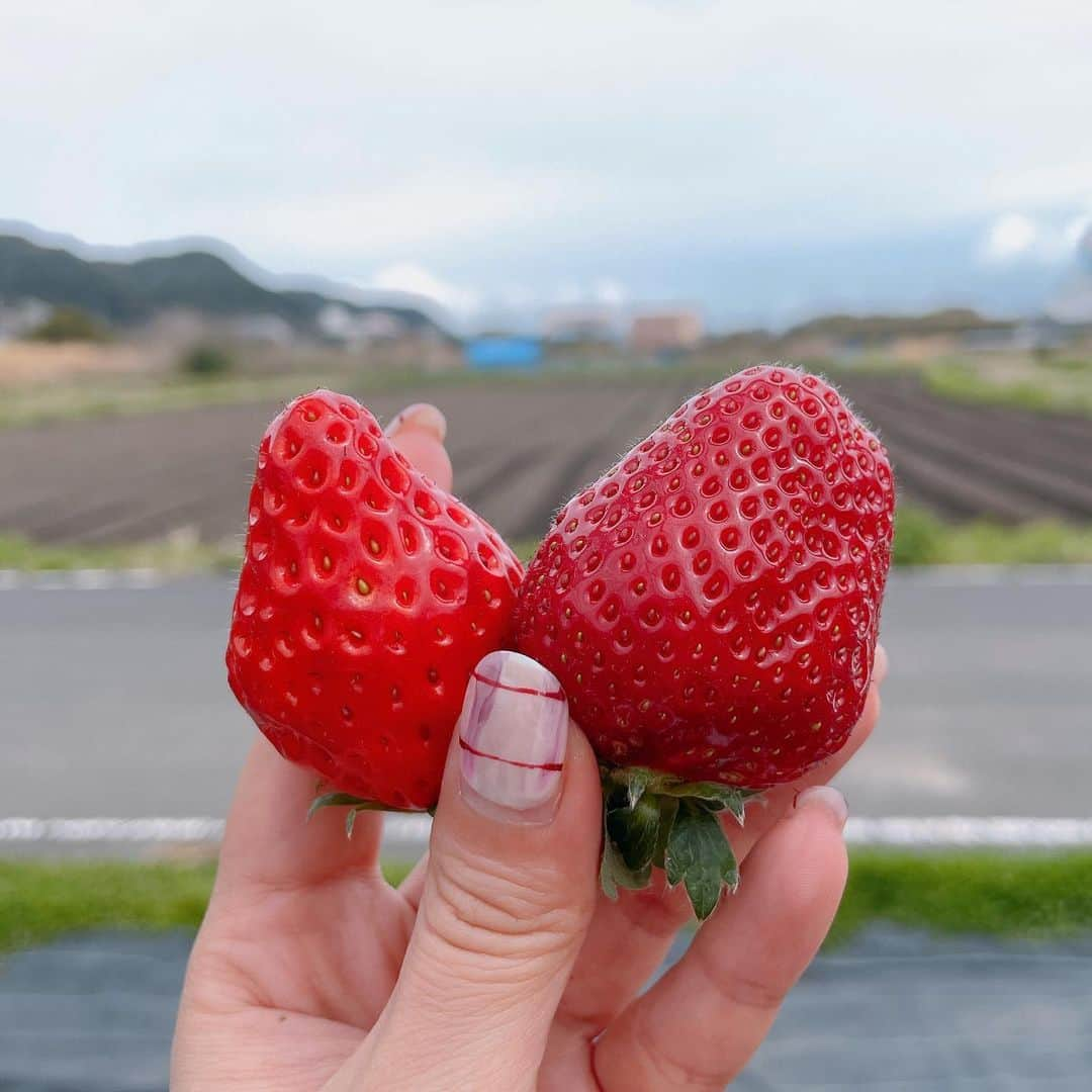 渡辺梨夏子のインスタグラム