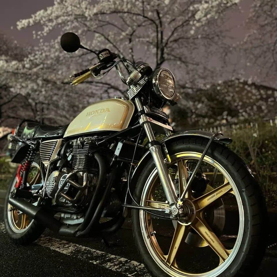 のインスタグラム：「桜、満開だったぜ。 雨続きなのによく残ってくれたなって。」