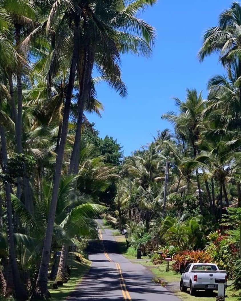 マリブシャツのインスタグラム：「Aloha Friday 🌴」