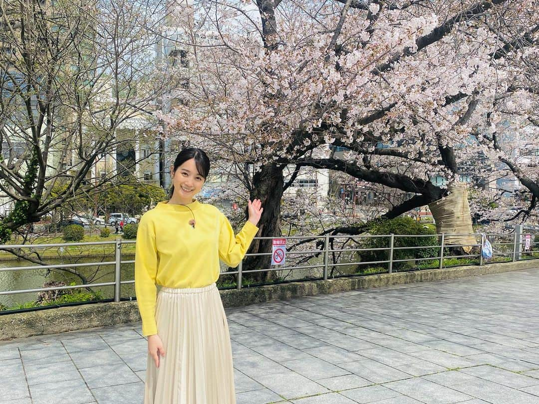 小野彩香のインスタグラム：「CUBEのラスト中継でした📺  最後は桜まつりから🌸 福岡は満開まであと少し、楽しみですね😁！  視聴者の皆さま、いつも温かく見守っていただきありがとうございました✨✨  今後のことにつきましては、改めてお伝えします🖋  #CUBE #TNC #中継 #桜 #舞鶴公園 #お花見」