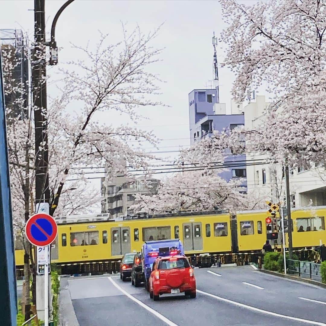 azumyのインスタグラム
