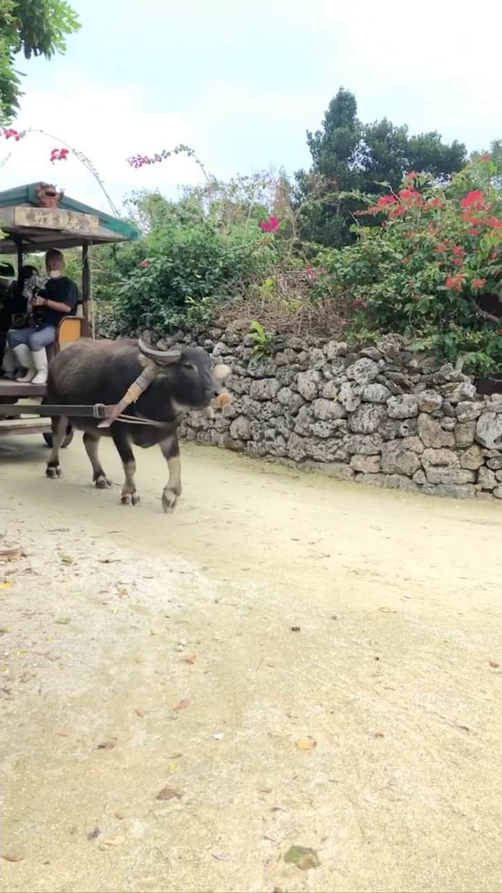 榊山敬代のインスタグラム