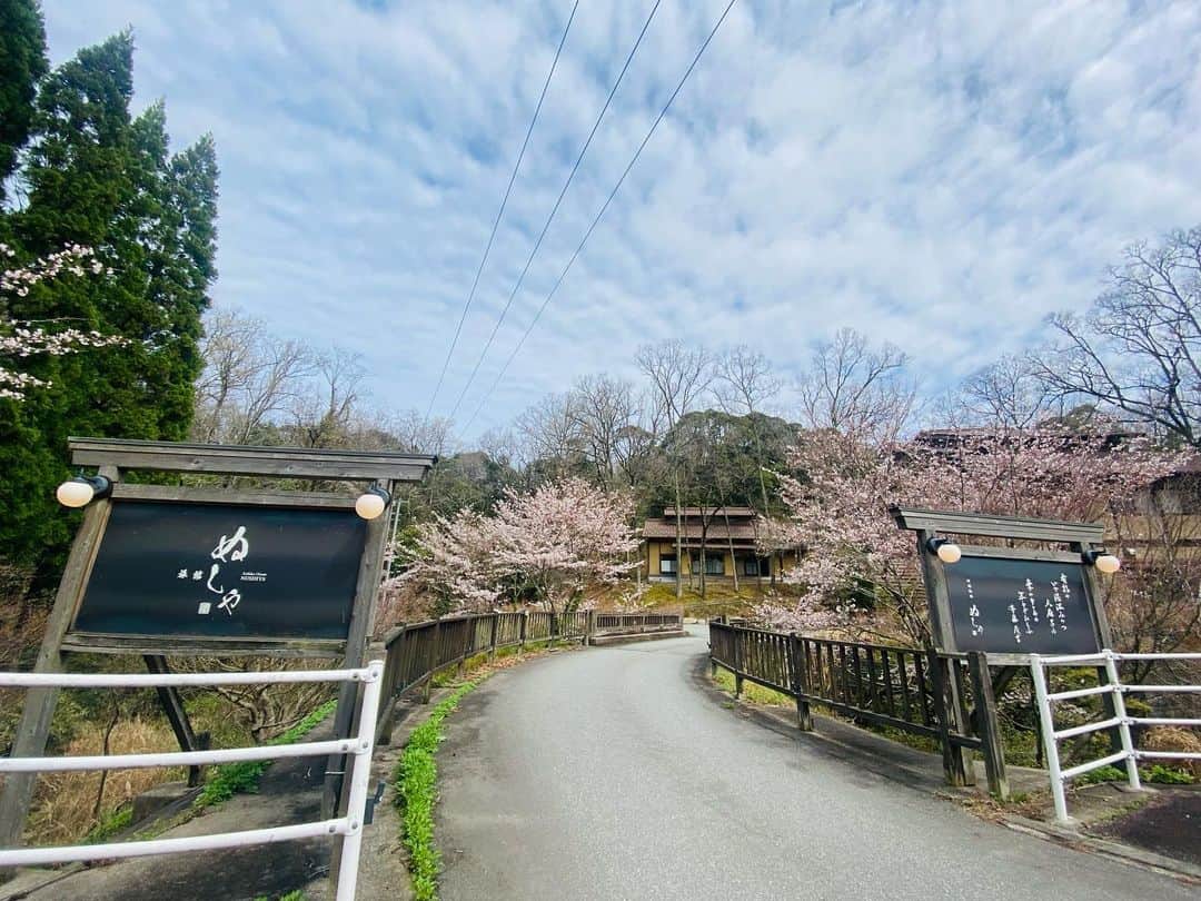 有福温泉 旅館ぬしやのインスタグラム：「Hi spring ! ☺️ 今日はいい天気ですね♪ ぬしやの周りの桜も満開近くにすごく綺麗に咲きました。 また、鳥の囀りも賑やかになってきました。💕 #ぬしや #島根県観光 #旅行 #温泉旅館 #さくら #有福温泉♨️ #ホテル」