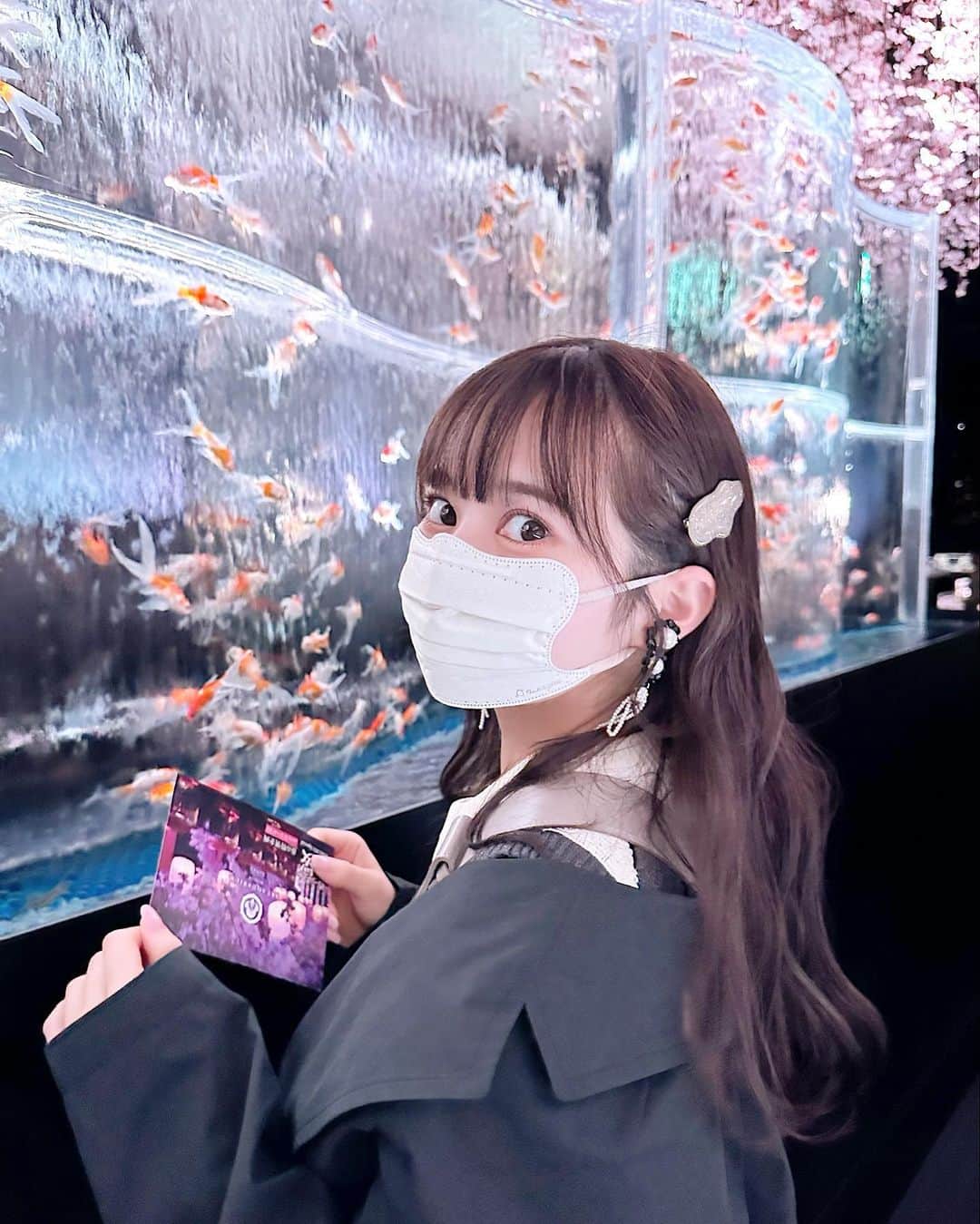 近藤沙瑛子のインスタグラム：「金魚いっぱい見に行った日🐟🌸 綺麗だった〜   #アートアクアリウム #アートアクアリウム美術館 #金魚」