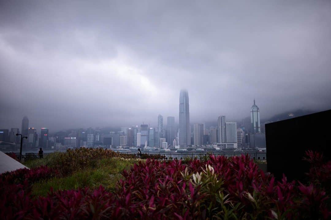 吉田拓巳さんのインスタグラム写真 - (吉田拓巳Instagram)「香港ではかねてより話題のM+にも。 圧倒的スケールでアートだけでなく、建築やデザインまで見応えあり。 美術館そのものもとても美しく、草間彌生展もめちゃくちゃよかった。  @mplusmuseum  #mplusmuseum #YayoiKusama」3月25日 15時13分 - tkmivj