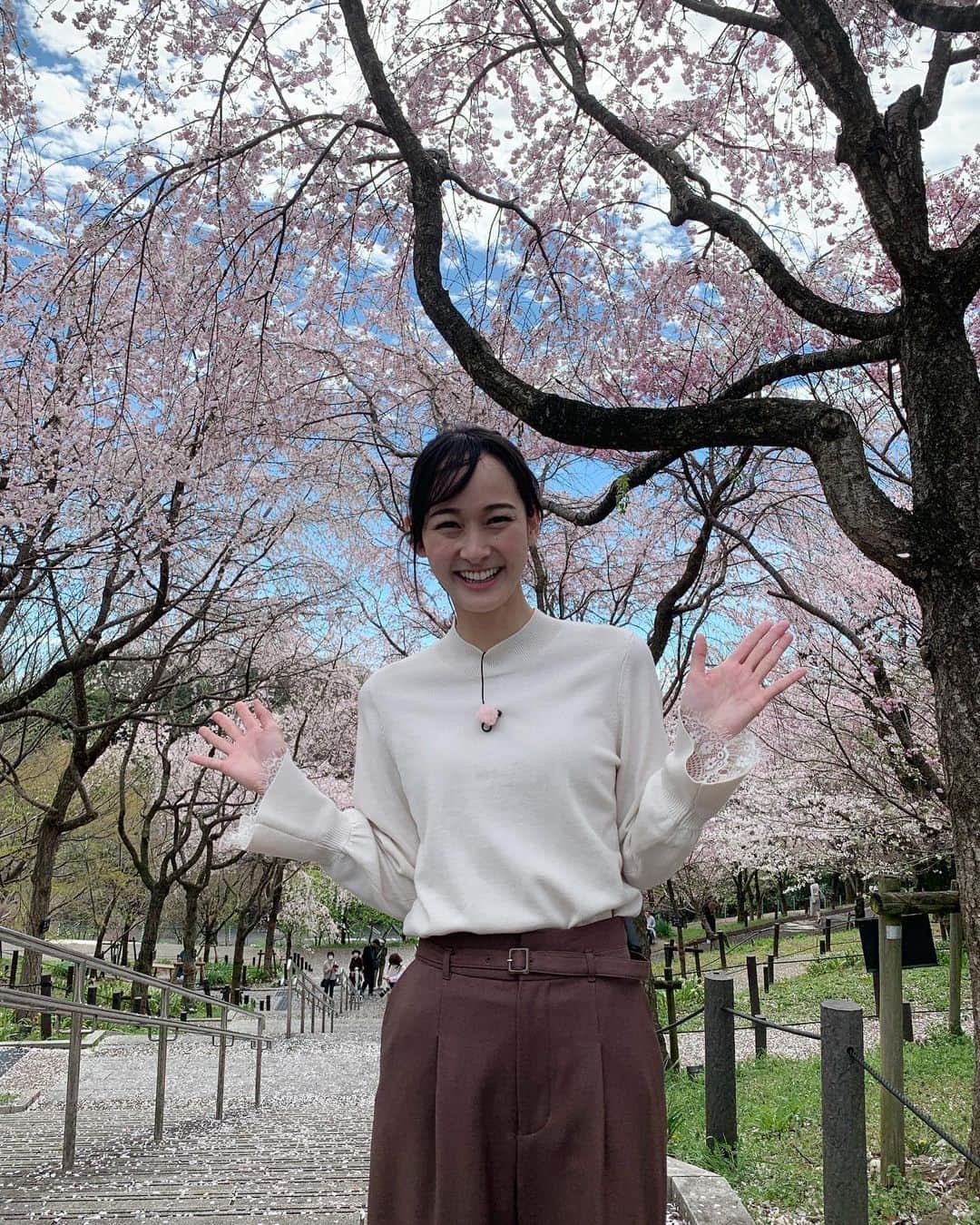 浦口史帆のインスタグラム：「🌸🦏🌸🦒🌸  春まつり開催中の #東山動植物園 🌸  動物と桜を同時に眺められたり、 植物園の#桜の回廊 では、 糸桜の#桜のトンネル をお散歩できたり、 東山動植物ならではの楽しみ方ができます🥰🤍  桜の回廊には約100種類1000本の木が植えられているので、 早咲きのものから遅咲きのものまで長くお花見シーズンを楽しめますよ〜🫶🌸  赤ちゃんから高齢のご夫婦まで、同じ場所に居合わせたみんなが桜の木を見上げるほのぼのとした時間が流れていました☺️🤍🤍  #名古屋お花見　#東山動物園  #東山植物園」