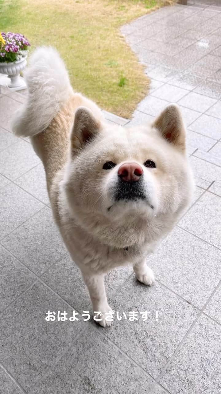 水谷雅子のインスタグラム