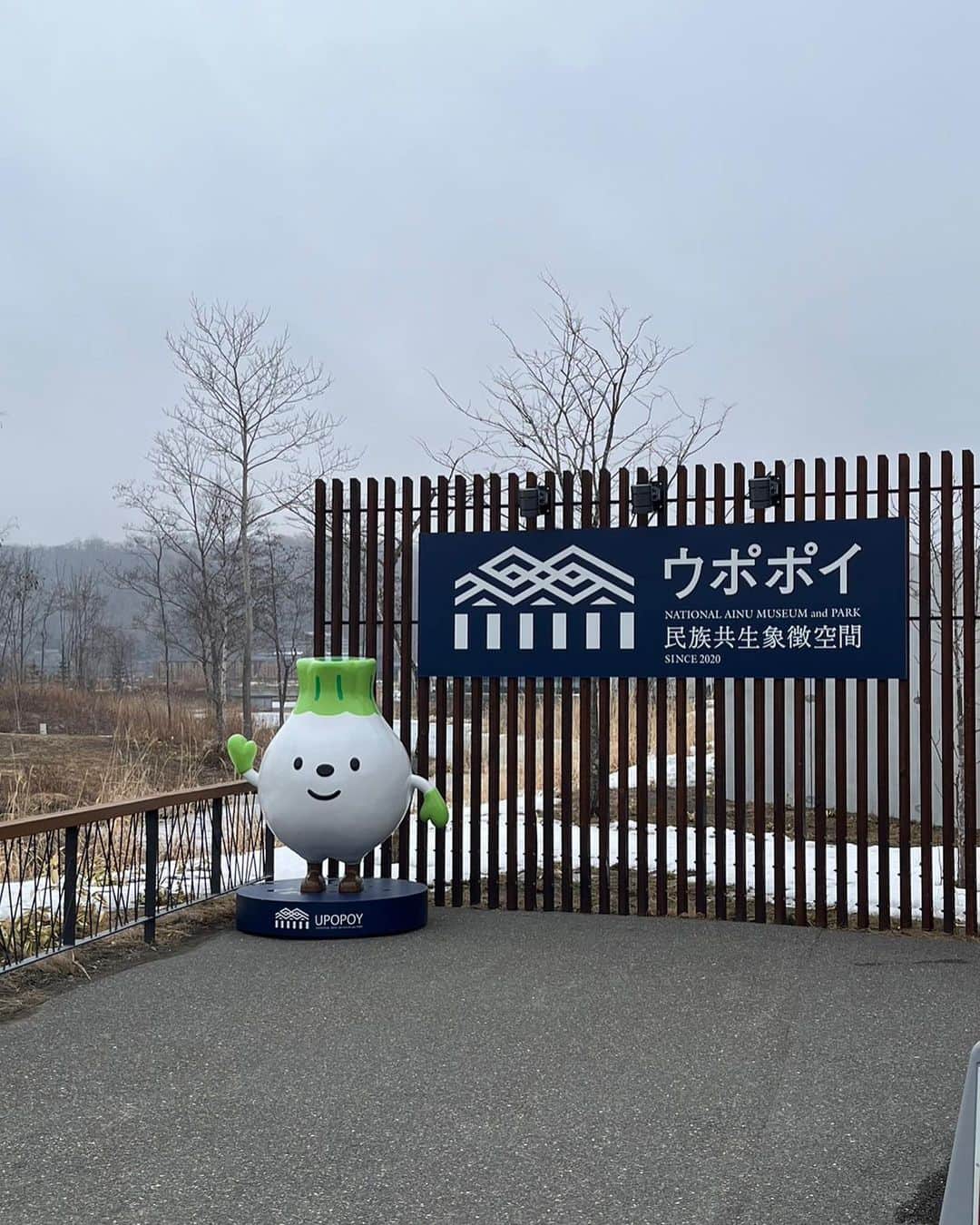 のインスタグラム：「やっと来れた〜はじめてのウポポイ☺︎  ずっと気になっていたけど なかなか行けずにいたので念願🏋🏻  アイヌ文化って北海道以外の方には あまり身近じゃないのかな？ 是非この投稿を見て少しでも 興味持ってくれたら嬉しい🫶🏻  アイヌ文化全く知らない方も、 博物館でよりしっかり知りたい方も、 体験を通して知りたい人にも最適な場所📍  1枚目 ウポポイの入り口に立っている コロンとしたキャラクターの正体は… トゥレッポん❗️(オオウバユリ) オオウバユリは北海道の本州の中部以北に ⾃⽣するユリ科ウバユリ属の多年草だよ〜  2.3枚目 シト(お団子)作り体験🍡 好きな形にしていいよって言われたから難しいと言われる ハートに挑戦したら思いのほか上手に出来てしまった😂❤︎完成したシトは昆布のタレとクルミのタレで食べました！  4.5枚目 ずっと着てみたかったアイヌ着物👘 白老町の方から貸していただき！ ウポポイにいるスタッフの方々に正しい着方を 教えてもらって素敵に着られました！ 着物着たままアイヌ楽器『ムックリ』に挑戦してみた～ 見るよりもかなり難しくてコツ掴むまで 練習あるのみです(笑) 独特な音が虜になるので是非聞いて～」