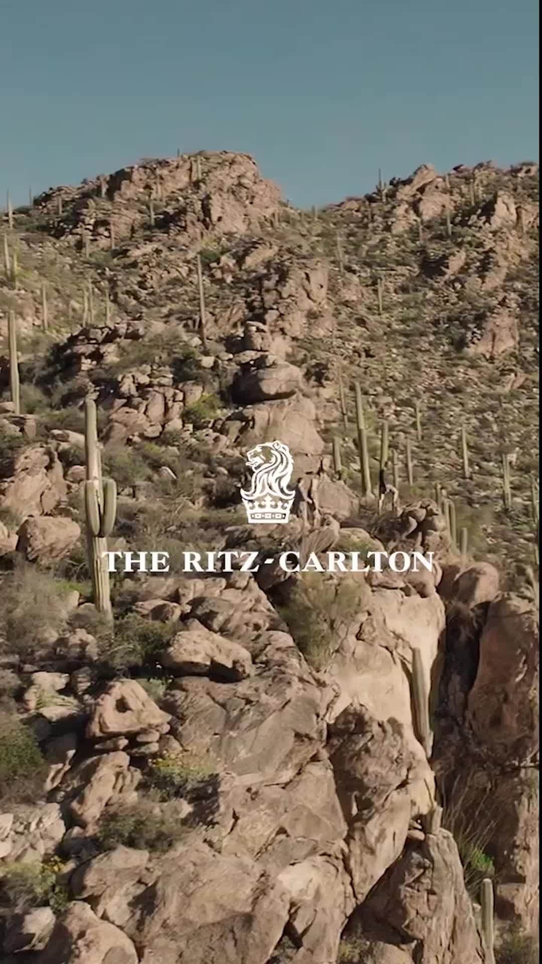 リッツ・カールトンのインスタグラム：「Across cactus-studded mountaintops and night skies filled with stars, @ritzcarltondovemountain anchors its experience in the unique beauty of Arizona's Sonoran desert.」