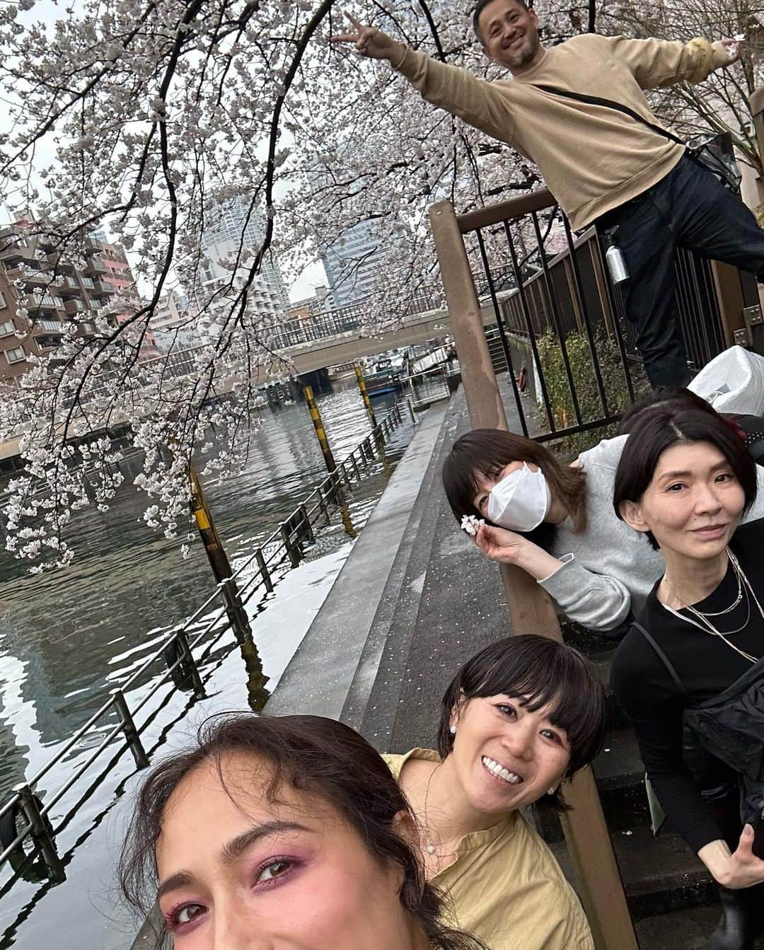 佐田真由美さんのインスタグラム写真 - (佐田真由美Instagram)「皆様は花見できましたか？東京は満開の時期に雨、雨、雨。 毎年こんな感じですね。 そんな儚さも桜を好きになる一つ。 桜の花言葉は 『純潔、優美』 そして、先日桜の撮影をしました🌸桜の撮影は 季節感が出るからなかなか無いのですが、この日は特別な撮影でした💕 @ninagawamika  みかちゃんの写真素敵過ぎて… 昨日編集の方が選ぶのが辛いと申してました❤️‍🔥 @otonamuse  Aちゃん頑張れー🌸」3月25日 9時37分 - sadamayumi
