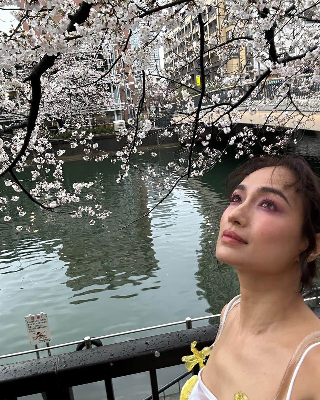 佐田真由美さんのインスタグラム写真 - (佐田真由美Instagram)「皆様は花見できましたか？東京は満開の時期に雨、雨、雨。 毎年こんな感じですね。 そんな儚さも桜を好きになる一つ。 桜の花言葉は 『純潔、優美』 そして、先日桜の撮影をしました🌸桜の撮影は 季節感が出るからなかなか無いのですが、この日は特別な撮影でした💕 @ninagawamika  みかちゃんの写真素敵過ぎて… 昨日編集の方が選ぶのが辛いと申してました❤️‍🔥 @otonamuse  Aちゃん頑張れー🌸」3月25日 9時37分 - sadamayumi