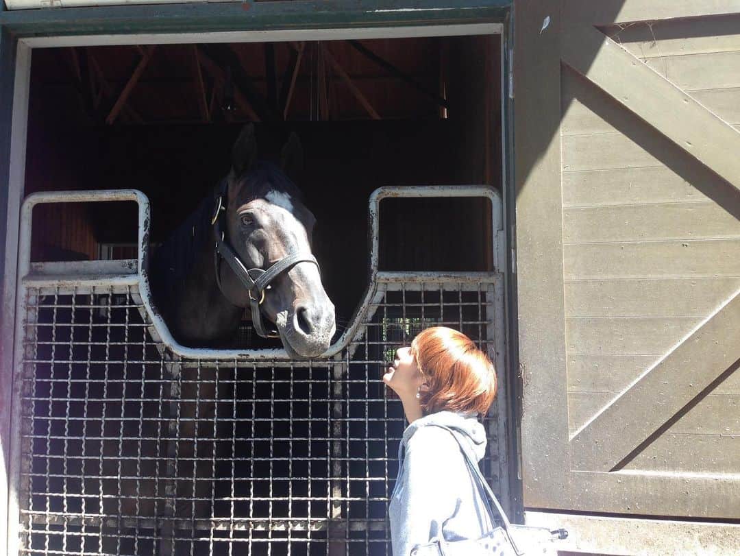 守永真彩のインスタグラム：「. . 今日はドバイワールドカップデー🏇✨  順調にレースを使えるって当たり前ではなくて、とても繊細で、大変なことなんだと改めて感じた昨日。  レースに向けてベストな状態に持っていくのは人も馬もプロにしかできない特別な仕事だと思う。 だからこそ、この日に向けて人も馬も一生懸命向かってきたわけだから、、その気持ちを考えるとかける言葉がなかなか見つかりません。  でもJRAのHPにも載っている公式のコメントでは 「将来のある馬なのでここでは無理をせず、取り消すことを決断いたしました。」とありました。 何よりも無事に帰ってきてもらって この悔しさを晴らすような素晴らしいドウデュースのレースを見られる日を楽しみに待っています。  よく、◯分◯◯秒で数億円も稼いだんだね！ とか言われるけれど。 その1秒1秒の裏には、私達には分からないほど苦悩した日々や、上手くいかない日々や、ヒリヒリした一瞬が沢山詰まっていると思っています。  そもそもデビューするのも凄く大変なこと。 そこから一勝ずつ積み上げて大きなレースにでる、、考えただけでも果てしない日々だなと思います。  沢山の人に見守られながら 一頭の馬が誕生して。 馬が競走馬になるまでも沢山の人がかかわって。 競走馬になって多くのファンの人の想いものせて。  多くの人、そして馬自身が繋いだ1秒。 その1秒ってとても大きな1秒だなと...。  私は馬を育てたこともなければ、トレセンで働いたこともないし、馬も数えるほどしか乗ったことがないので...きっと関係者の皆さんの大変なことのほんの少しも理解できてないと思います。  でも、だからこそ、自分のできる限りの敬意をはらって競馬を楽しませてもらいたい。 そして、私は私の仕事として、競馬に敬意をはらって伝える仕事をしていきたいです。  今日も、よろしくお願いします。 今日も、ありがとうございます。  #写真は2015年のものです #沢山の名勝負を繰り広げてきた名馬と　 #分かった人いるかな」