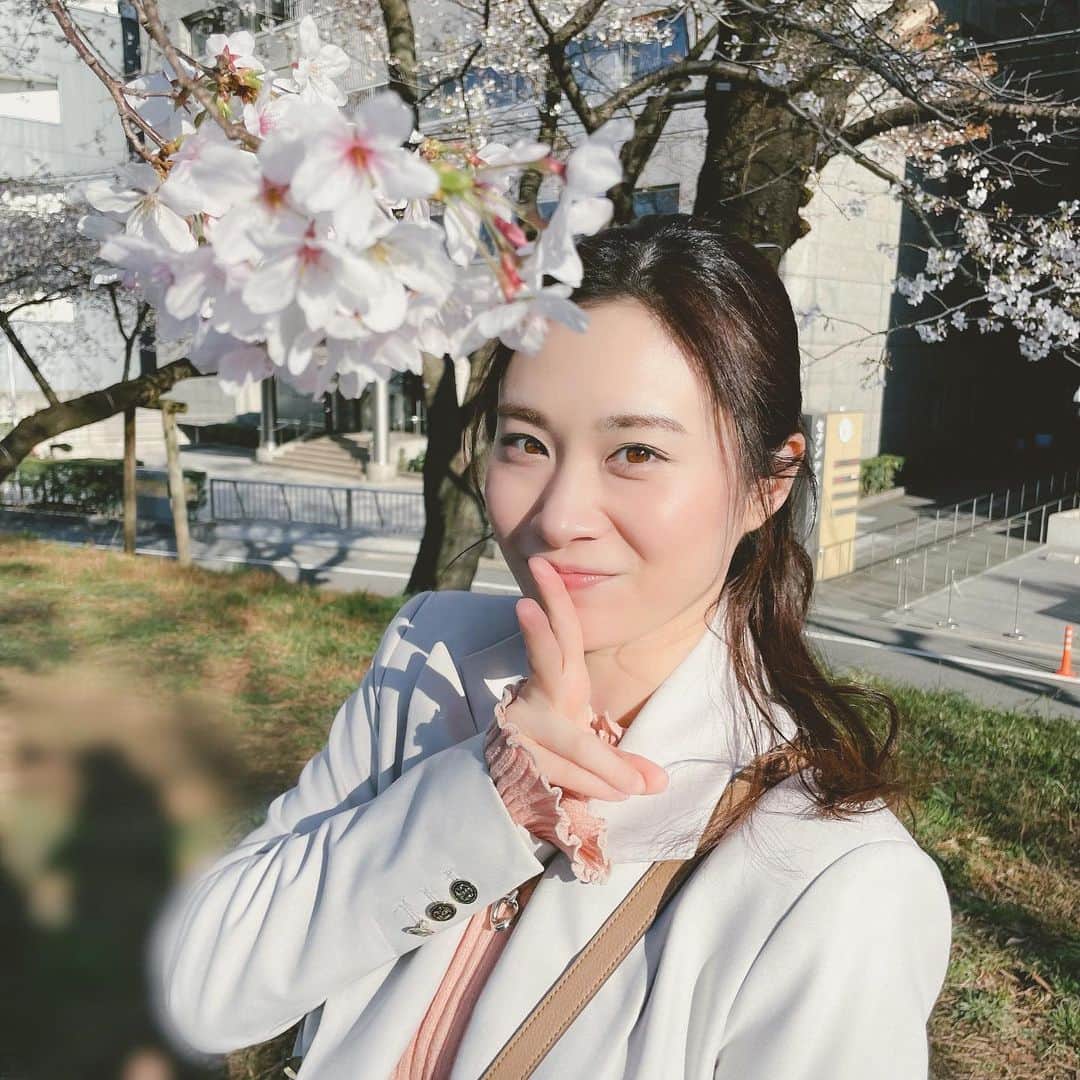 鈴木芳奈のインスタグラム：「今日は☔️だけど、いえい🌸🌸🌸 今年はお花見できた？ . #桜 #さくら #桜スポット #cherryblossom」