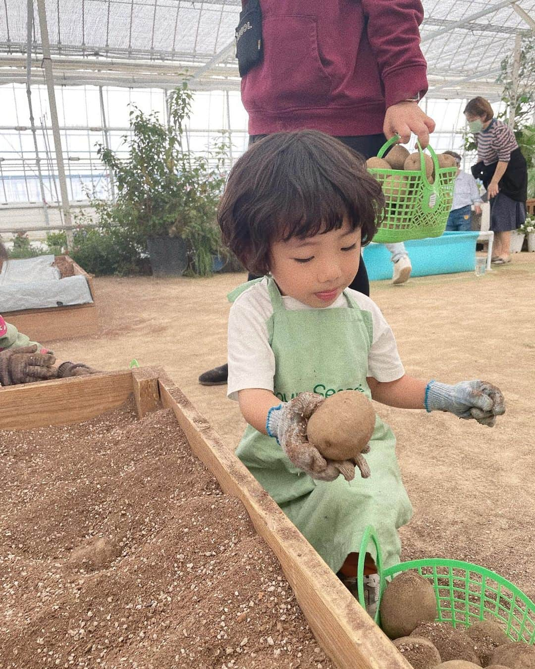 キム・ヒナさんのインスタグラム写真 - (キム・ヒナInstagram)「감자캐기 체험도 완벽🥔🧑🏻‍🌾」3月25日 16時13分 - xkimheenax