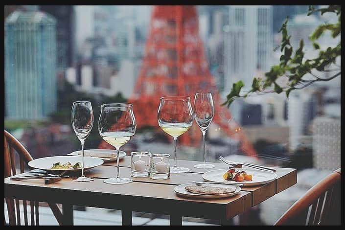 祐真朋樹さんのインスタグラム写真 - (祐真朋樹Instagram)「東京エディション虎ノ門のThe Jade Room + Garden Terraceのテラスがオープン！ レストランのパートナーシェフ トム・エイキンズが来日し、新しいメニューをお披露目するエクスクルーシブな食事会に招待していただきました。美しい東京の景色を眺めながら、素敵なランチをいただきました。ありがとうございました。  自慢の純白タートルネックは、 LANVIN COLLECTION MEN'S "青春タートル"  @toranomonedition  @lanvincollection_mens  @lanvincollection_omotesando  @keiichinitta     東京エディション虎ノ門 31F The Jade Room + Garden Terrace ■住所：東京都港区虎ノ門4丁目1-1」3月25日 11時54分 - stsukezane