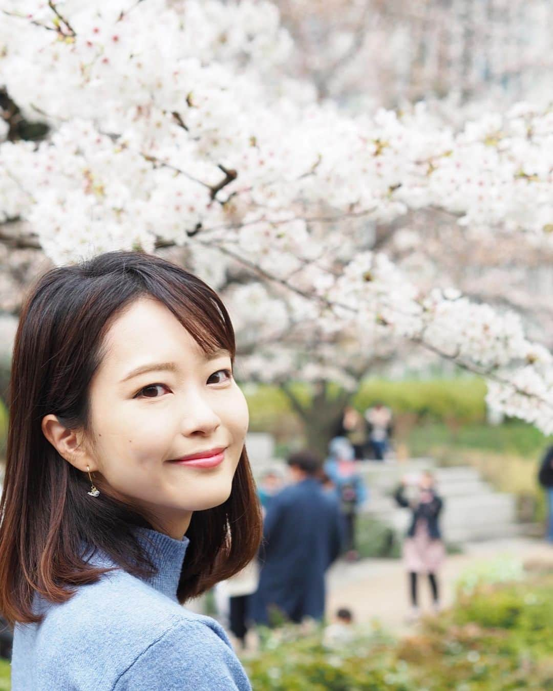 下村彩里のインスタグラム：「WBCと桜尽くしの1週間でした🏆🌸  写真は同期が撮ってくれた桜との写真🌸 雨も降る1週間でしたが、比較的風は少なく、安心です。🥲  最後の写真は野球殿堂博物館に期間限定で展示されている、 wbc優勝トロフィー🏆 選手たちがつかんだ手の痕が残ったままのトロフィー これは今しか見られません！！  実際にトロフィーは12kg以上の重さ、60cmの高さがあるようですが、 取材を通して 14年ぶりにつかんだ侍ジャパン"優勝"が人々に与えた重み、大きさを改めて感じました。  #脱コロナが少しずつ少しずつ進む #街中 #侍ジャパン世界一奪還 #皆んなの #笑顔 がみえる幸せを #ひしひしと感じています #明るいニュースを #ありがとうございます  #下村彩里#テレビ朝日#報道ステーション#桜#桜写真#WBC#wbc優勝トロフィー」