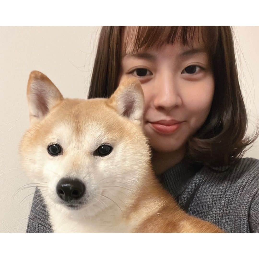 矢吹世奈のインスタグラム：「・ おめでとう。 まろと私。  まろ、5歳の誕生日🎂 私、宝塚を卒業して5年の日🌸  メッセージ送ってくださった方々 ありがとうございます💙💙💙」