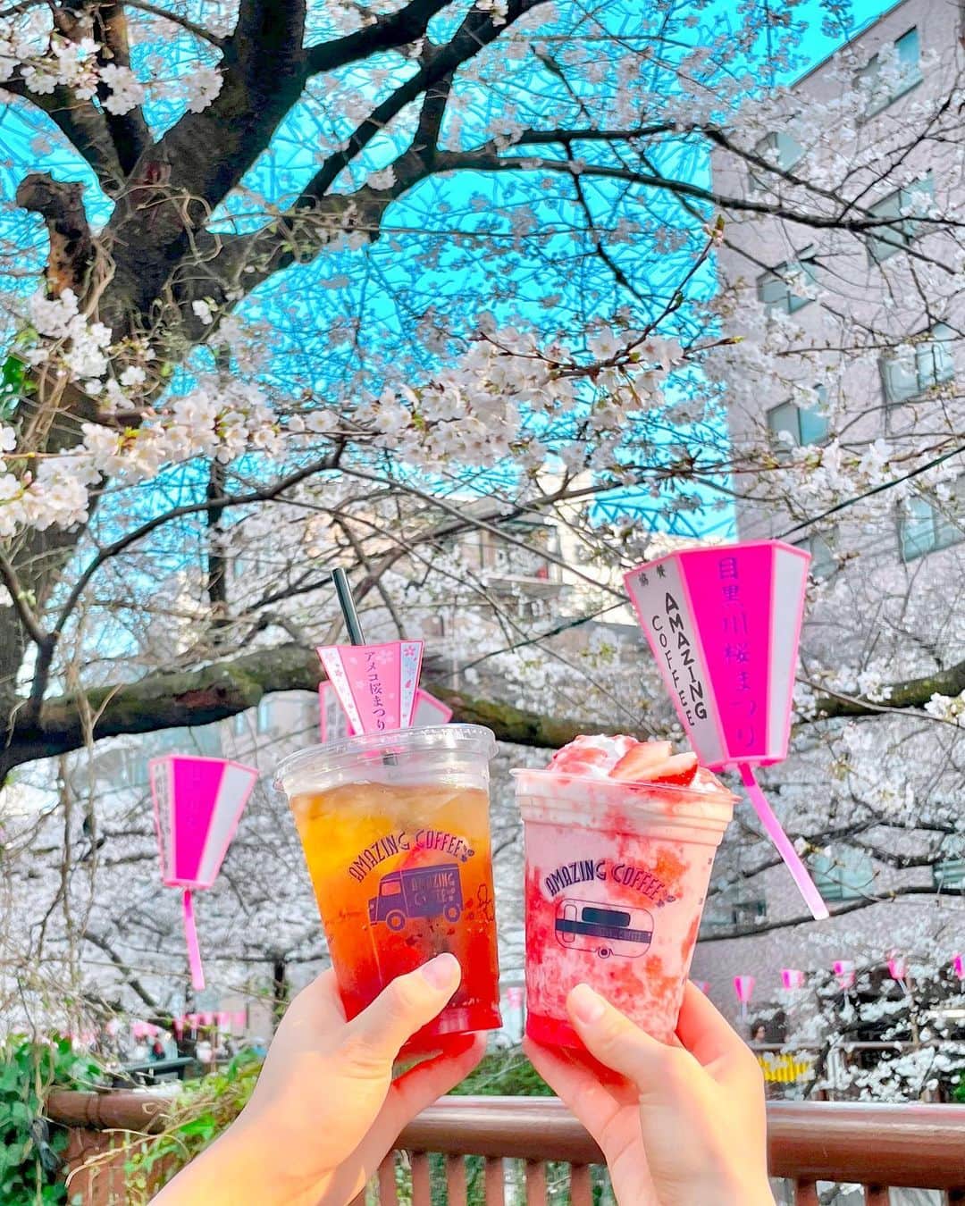 AMAZING COFFEEさんのインスタグラム写真 - (AMAZING COFFEEInstagram)「. 🌸AMAZING COFFEE TOKYO NAKAMEGURO🏮  こんにちは☀️ 目黒川の桜は今が見ごろです👀🌸  AMAZING COFFEEの春色ドリンクを持って、ゆったりお花見はいかがですか☺️？  熊本県産のいちご"ゆうべに"やブルーベリーの果肉が入った春のコーヒーソーダ【スプリングチェリーソーダ】は、さっぱりとした味わいをお楽しみいただけるのでオススメです🍓🫐  ※サンキゅうべに〜マッチは大好評につき、3月23日時点で一時完売しております。 再販の準備が整い次第、ストーリーにてお知らせいたしますので申し訳ございませんが、今しばらくお待ちください。  #AMAZINGCOFFEE #アメージングコーヒー #AMeCO #アメコ #coffee #coldbrew #soda #TOKYONAKAMEGURO #中目黒 #目黒川 #めぐろ川 #桜 #目黒川桜まつり #お花見 #春 #spring #アメコ桜まつり #🍓 #🫐 #☕️ #saveyourneighbor @jakk_nikoyaka @youbeni_official @exile_nesmith_official」3月25日 13時45分 - amazing_coffee_official