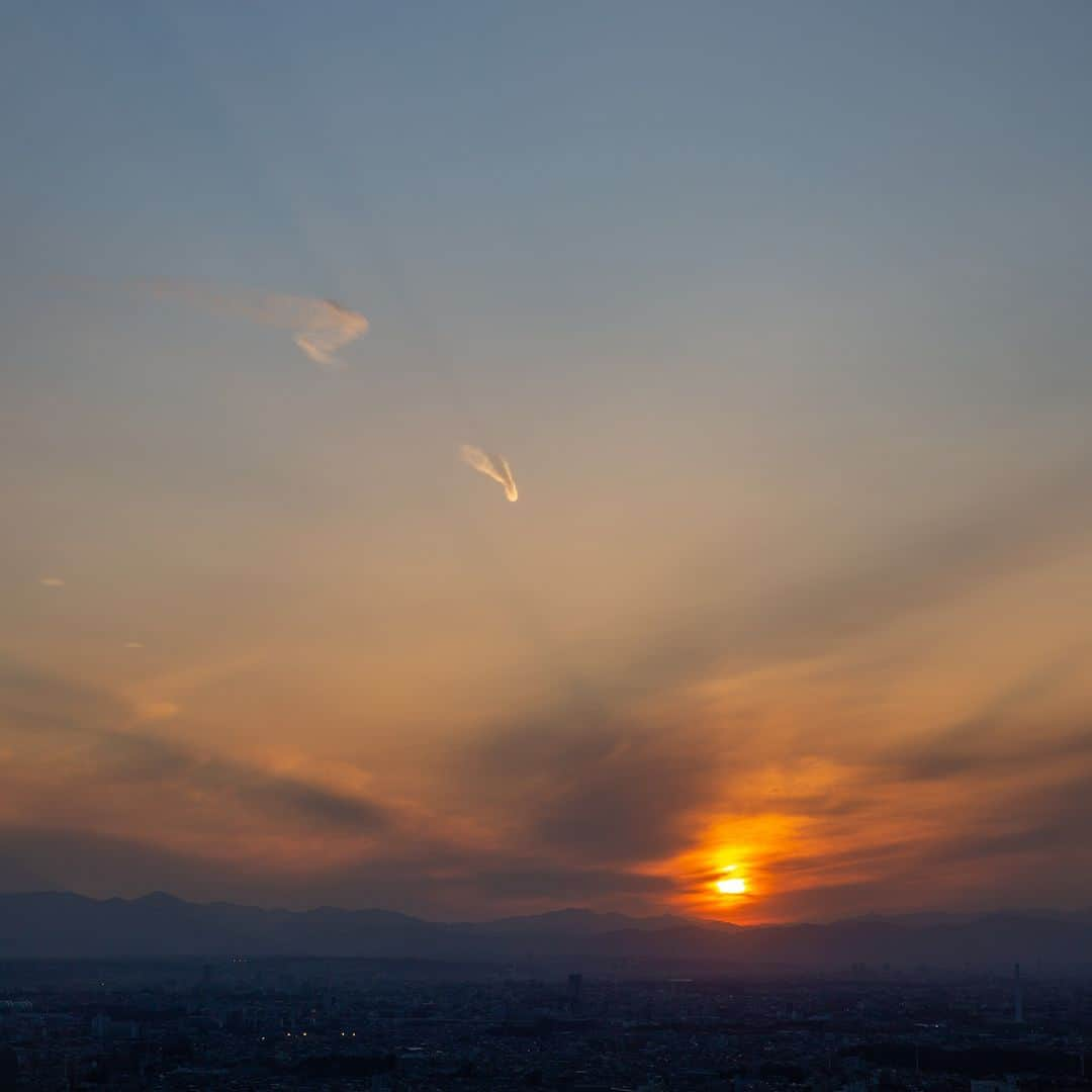 Park Hyatt Tokyo / パーク ハイアット東京さんのインスタグラム写真 - (Park Hyatt Tokyo / パーク ハイアット東京Instagram)「Park Hyatt Tokyo is committed to sustainability and environmental stewardship. Earth Hour is a global event symbolically showing we can all take action in the fight against climate change. Working together, even with minor changes, can make a big difference.  WWFによる「アースアワー」が今年も開催に。世界中の人々が同日同時刻に消灯し、地球温暖化防止について考える環境アクションで、パーク ハイアット 東京も賛同しています。皆様もぜひ、今宵（3/25）午後8時30分から1時間、電気を消して過ごされてはいかがでしょう。  Share your own images with us by tagging @parkhyatttokyo —————————————————————  #parkhyatttokyo #luxuryispersonal #WWF #earthhour #sustainability #sustainable  #MyHourForEarth #BiggestHourForEarth #パークハイアット東京 #サステナビリティ #サステナブル #世界自然保護基金 #アースアワー @wwf @wwfjapan @earthhourofficial」3月25日 14時00分 - parkhyatttokyo