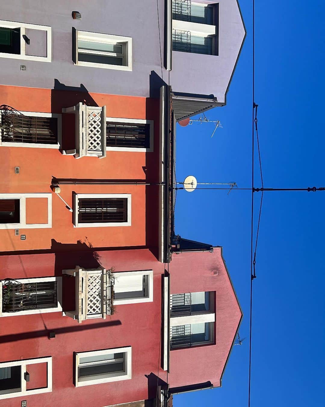 コリアックのインスタグラム：「Città studi Rulez 🏚️」