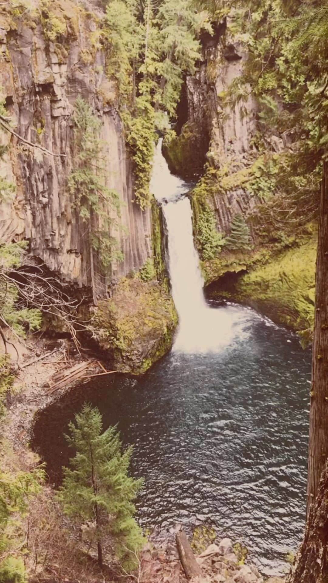 FOLKのインスタグラム：「Somewhere in the Pacific Northwest. #waterfall」