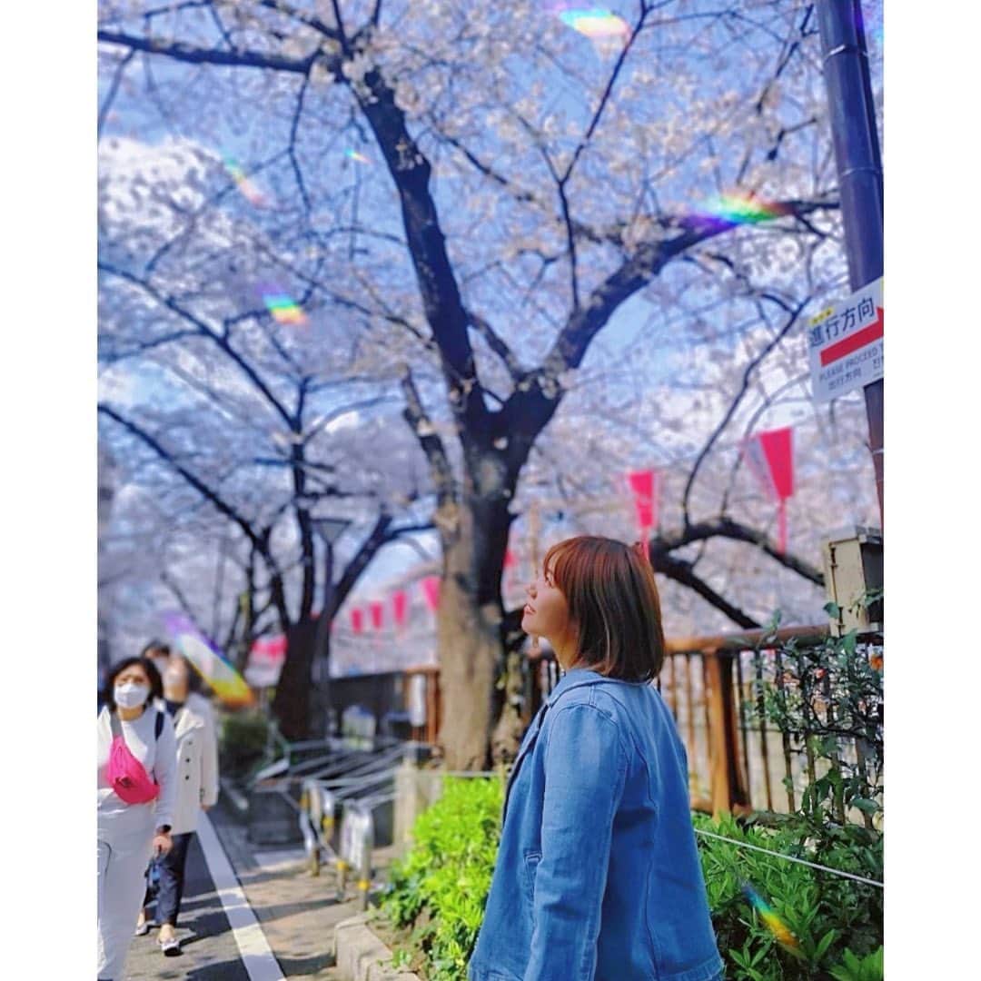 清原怜奈のインスタグラム：「一瞬でも見に行って良かった🌸 桜(*≧∀≦*)💓 #sakura  #桜  #お花見  #ゴルフ女子 #ootd  #きよれな #清原れな #レースクイーン  #17live  #17liver #幸せ  #いつもありがとう」