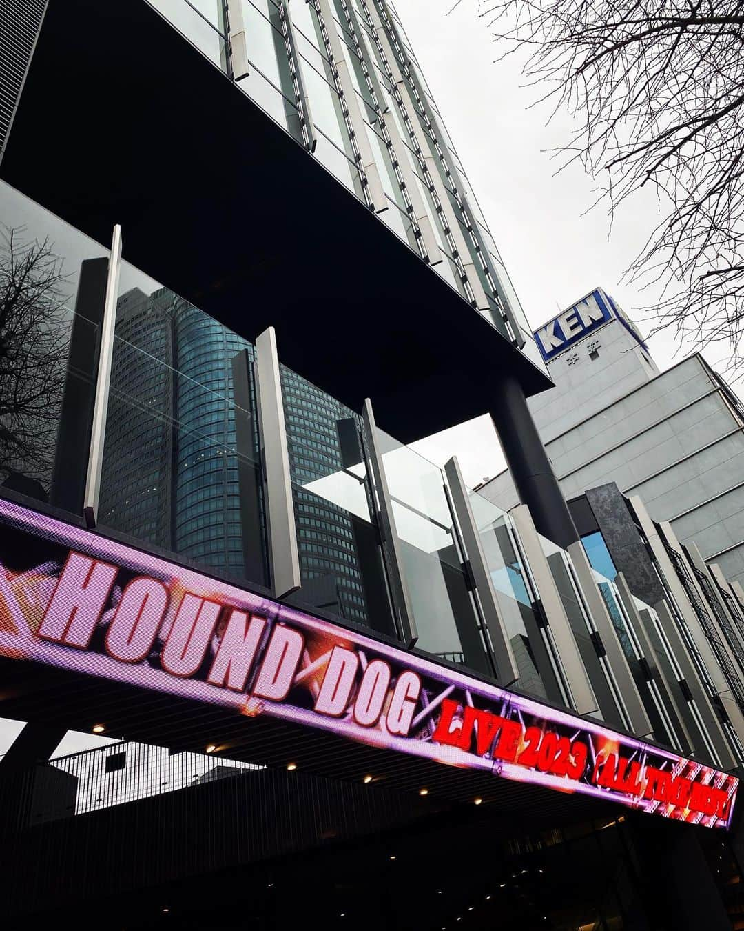 青木伸輔のインスタグラム：「HOUND DOG LIVE 2023 「ALL TIME BEST」にお招きいただきました。久しぶりのHOUND DOG LIVEでしたが、大友さんの歌、パフォーマンスをはじめ、bandのエネルギーに熱くなりました。 大友さんの唯一無二の歌声は勿論、マイクパフォーマンスも健在！ あのスタンドマイクのパフォーマンスがキマるボーカリストってとても希少な存在だと思いました。 まさに奇跡の67歳です。 #大友康平 #hounddog #live #alltimebest #extheaterroppongi」