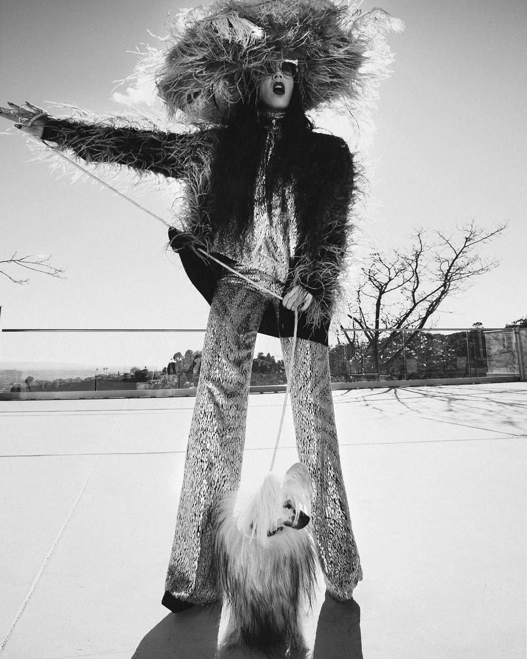 B. Akerlundのインスタグラム：「"Unleash  your Weekend Vibes!" 🐶@bootzy_smallz 🐾@bootzycouture 📸 @daniellamidenge」