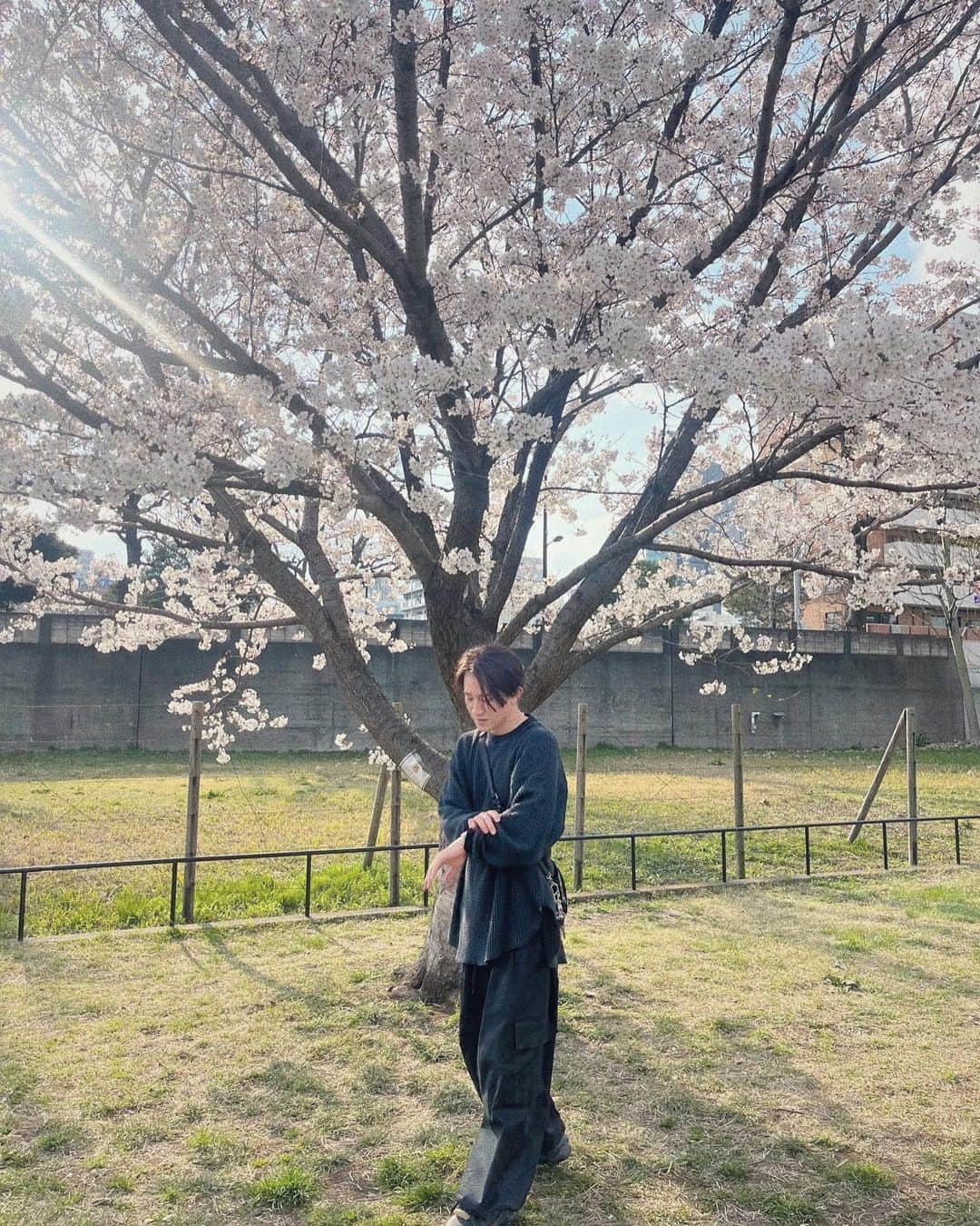 前原穂高さんのインスタグラム写真 - (前原穂高Instagram)「「いつまで咲いてるんだろう？」  #前原家 #花見」3月25日 17時14分 - hodaka