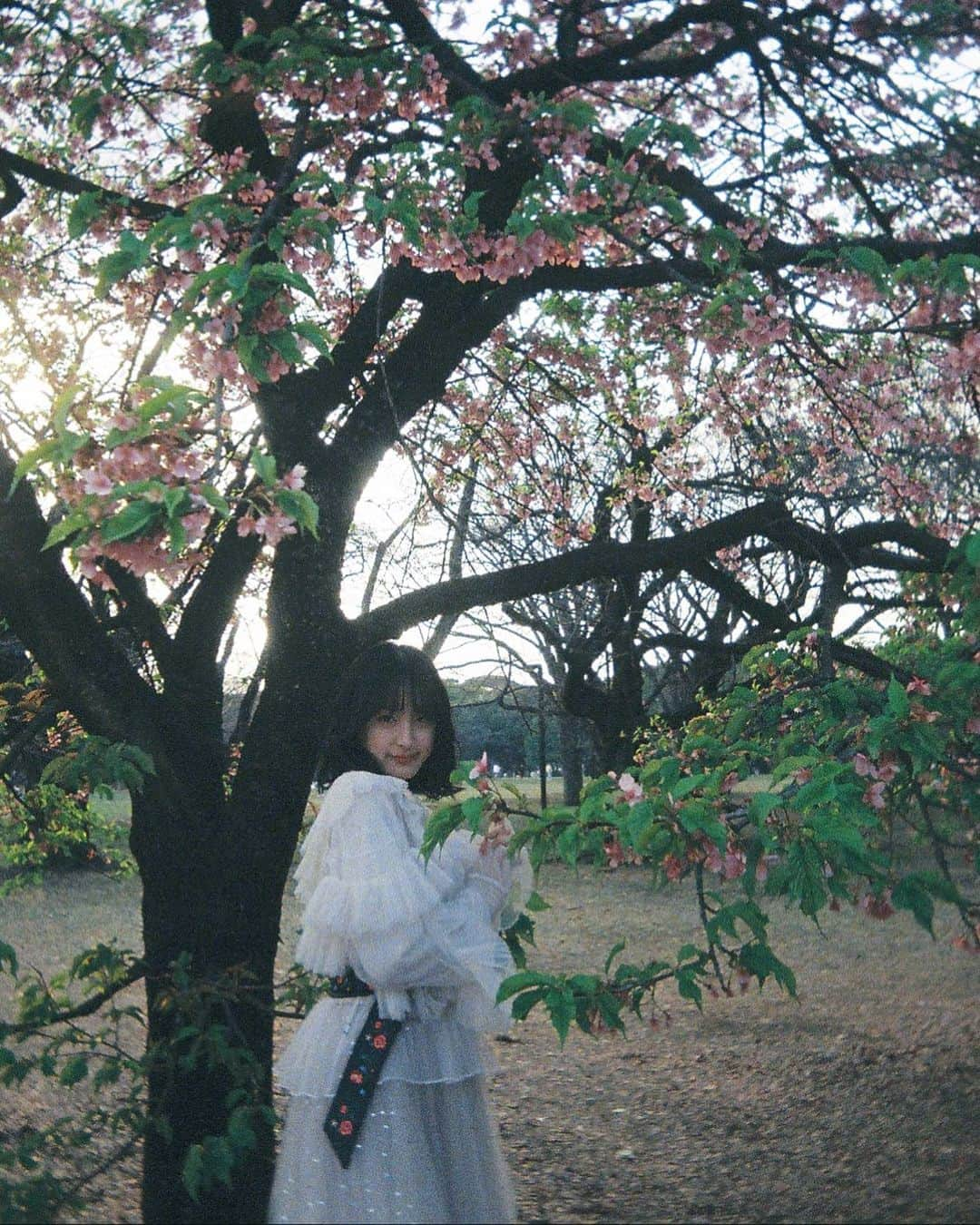 川原美咲さんのインスタグラム写真 - (川原美咲Instagram)「🎞💐💐 ・ ・ ・ #ピクニック #代々木公園  #フィルムカメラ  ・ これ実は、随分前の桃の花🌸 ・ ・ ・ ・ #フィルムカメラ好きな人と繋がりたい #カメラ女子 #フィルムカメラのある生活 #kodakfilm #お花見コーデ」3月25日 17時15分 - misaki_888_sagasaikou