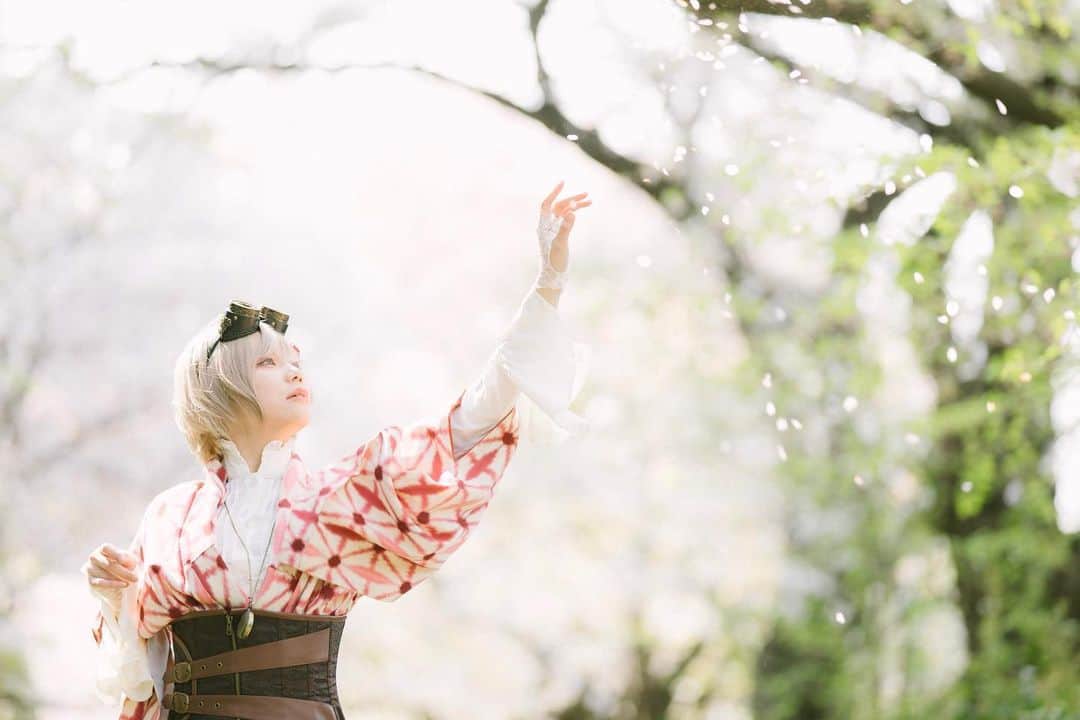 玉樹るいさんのインスタグラム写真 - (玉樹るいInstagram)「#桜 #instaphoto #sakura」3月25日 17時25分 - abitara1118