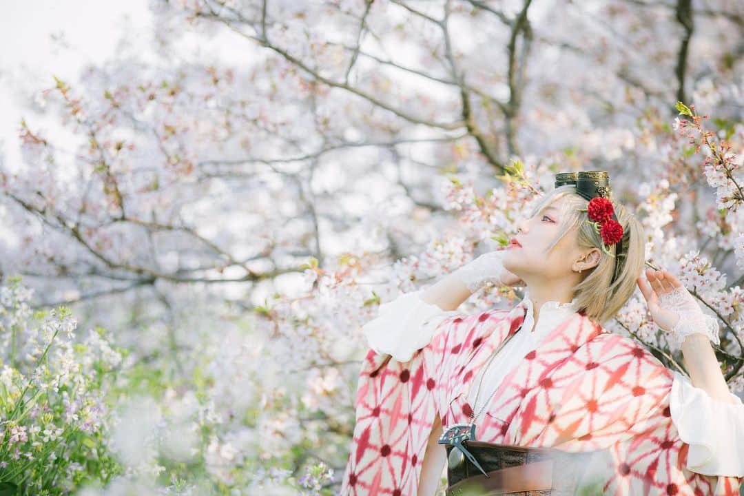 玉樹るいのインスタグラム：「#桜 #instaphoto #sakura」