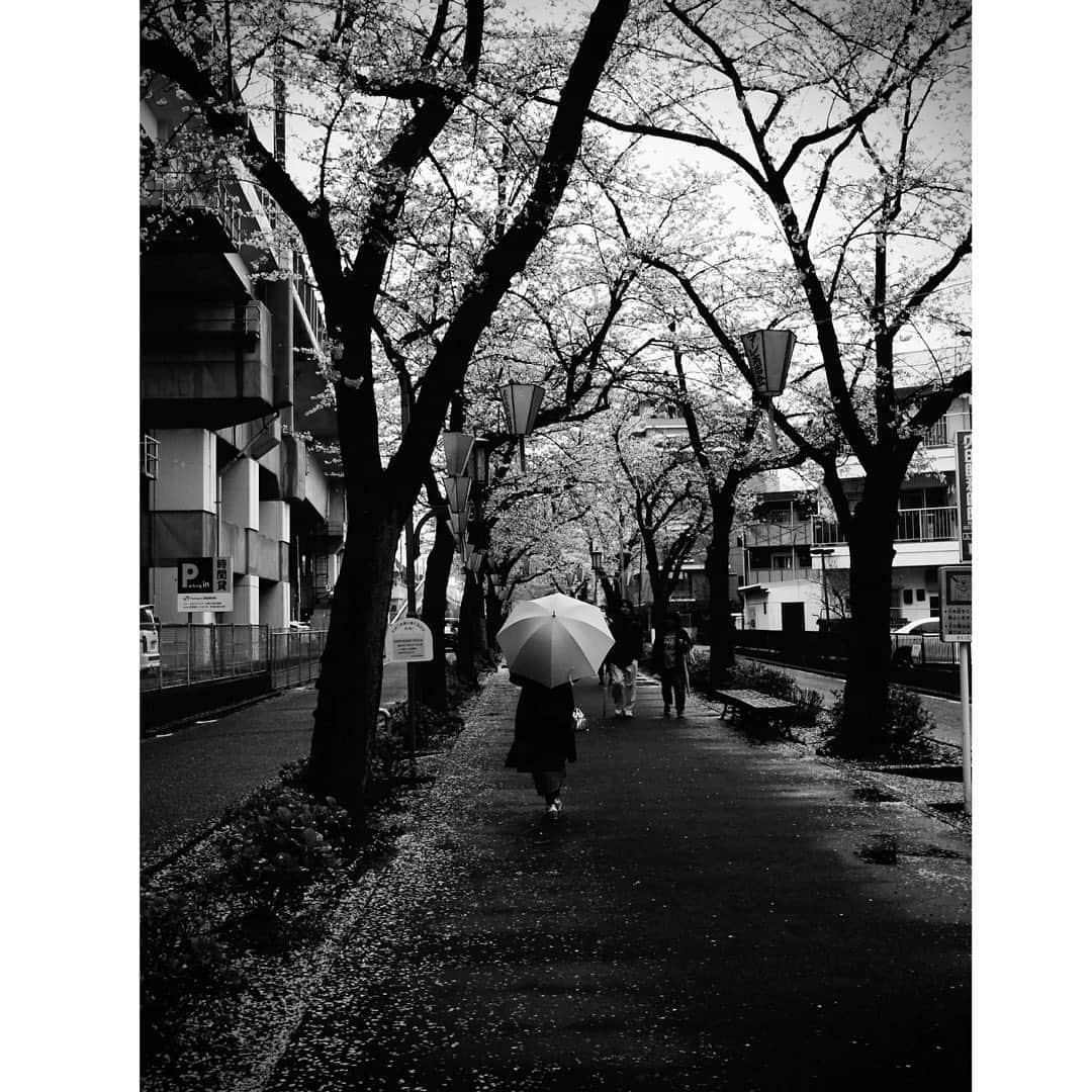 Halのインスタグラム